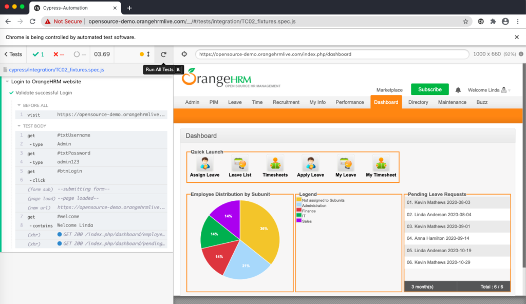 cypress successful test execution